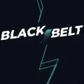 blackbeltpunch-logo